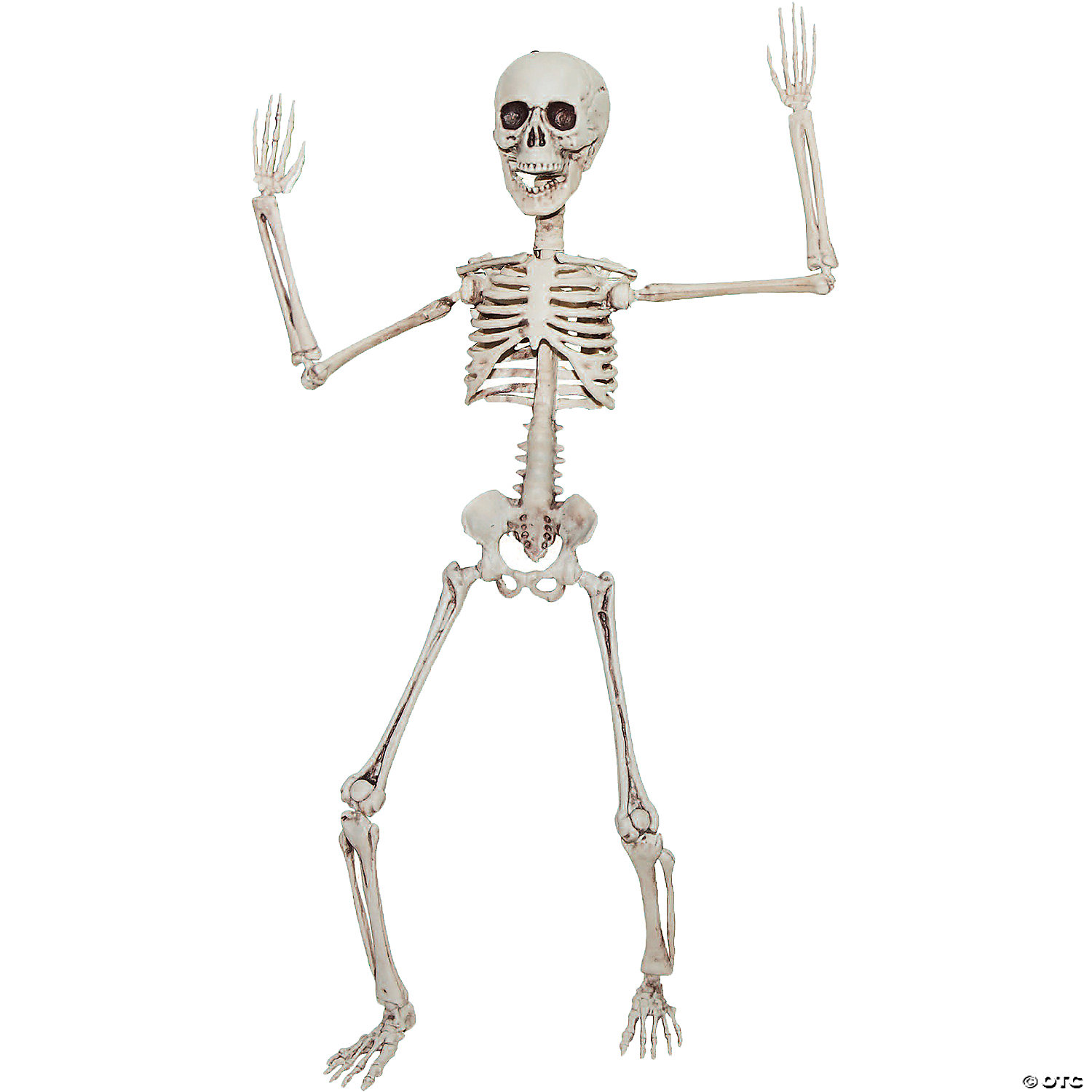 Poseable Skeleton