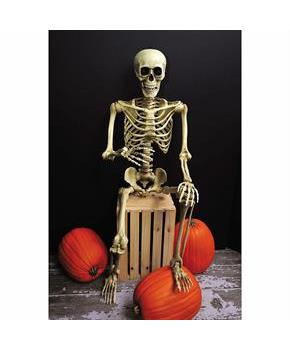 5 Ft. Realistic Posable Articulated Skeleton Halloween Decoration