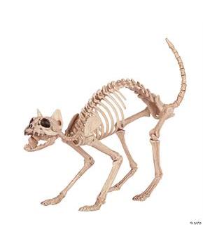 Skeleton Cat - CostumePub.com