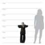 Hanging Skull Man Animated 43"